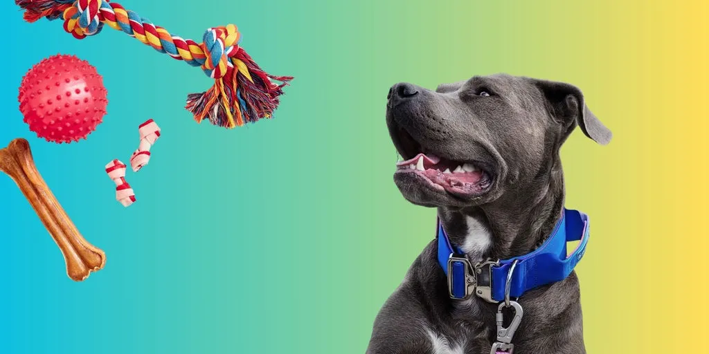 Best Chew Toy for a American Bully/bulldog Mix​