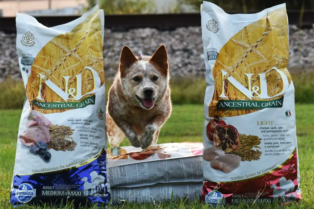 Farmina Dog Food