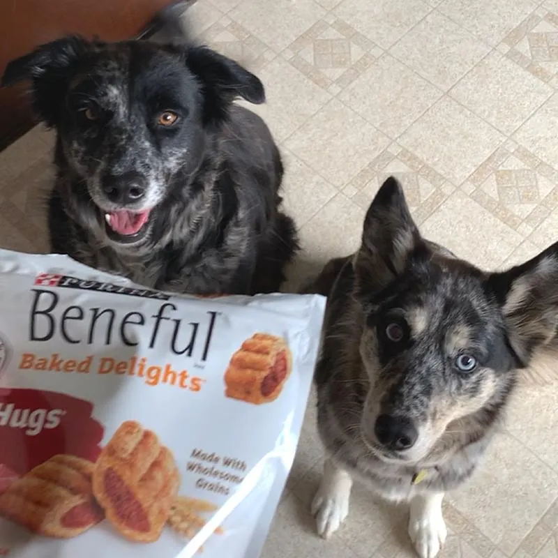 Beneful Dog Food