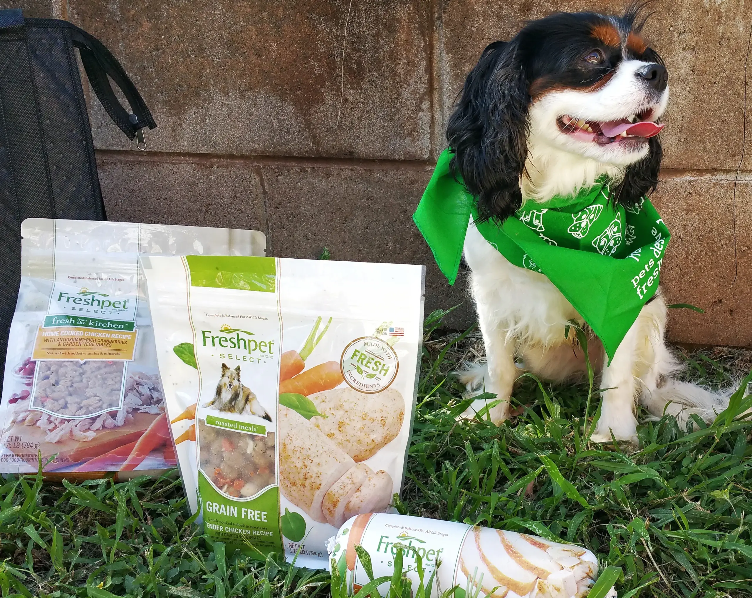 Freshpet Dog Food