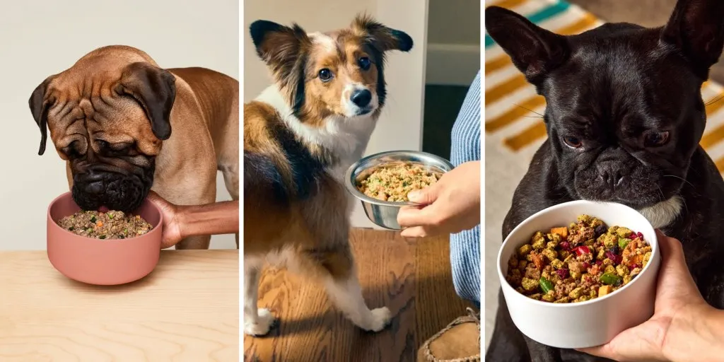 Dog Food Advisor