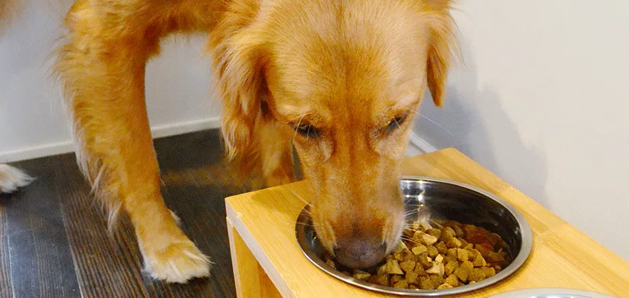 Nulo Dog Food