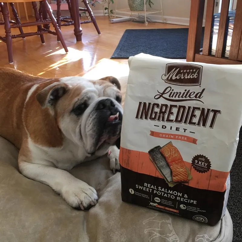 Merrick Dog Food