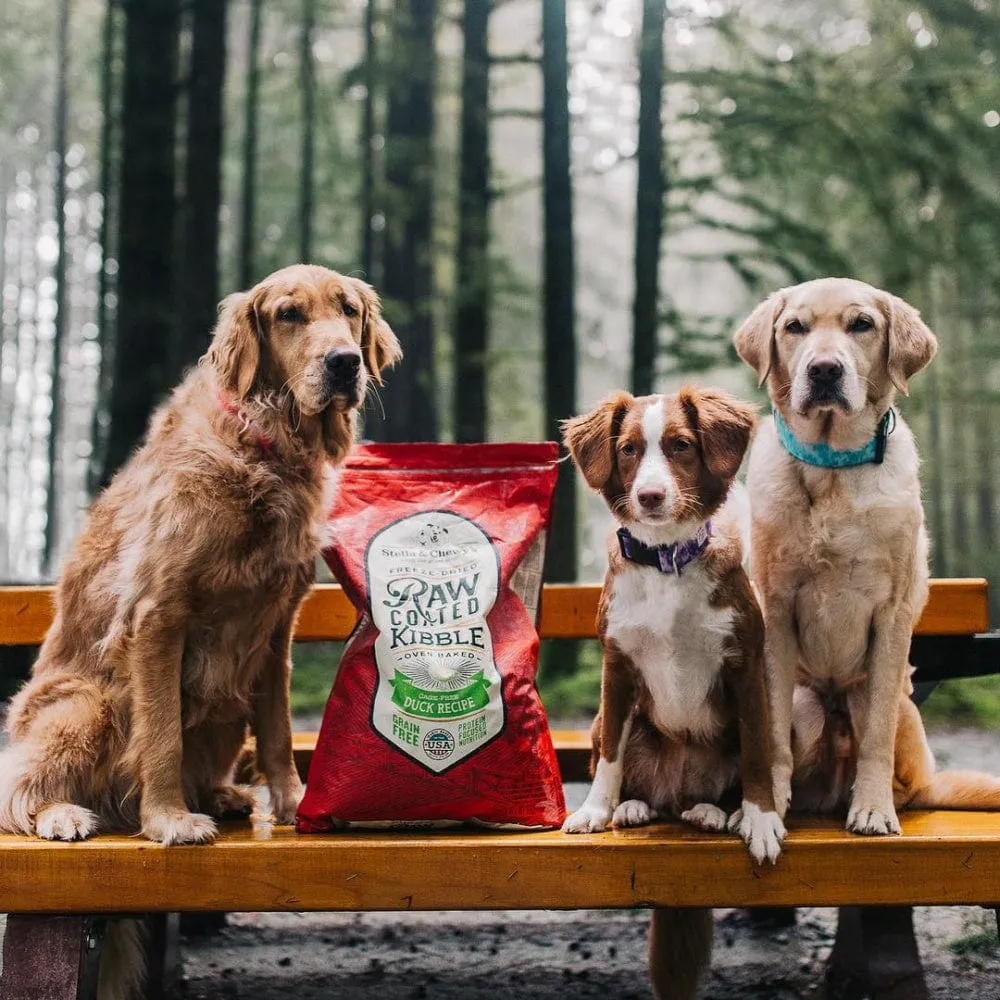 Stella and Chewy Dog Food