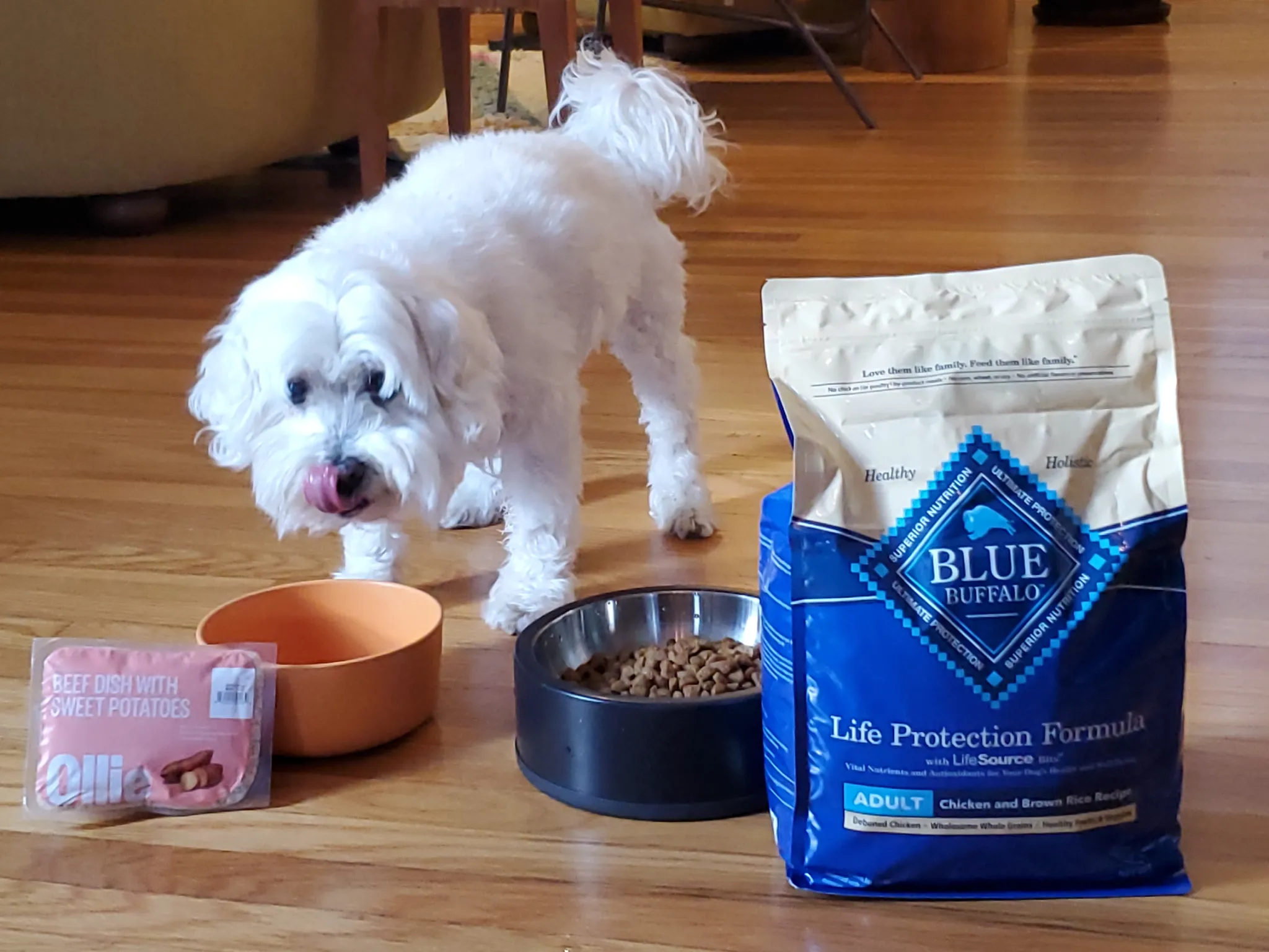 Blue Buffalo Dog Food