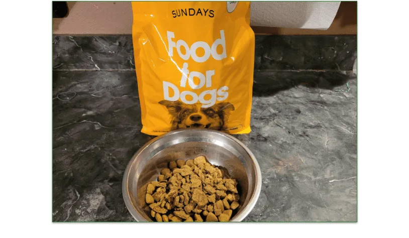 Sundays Dog Food