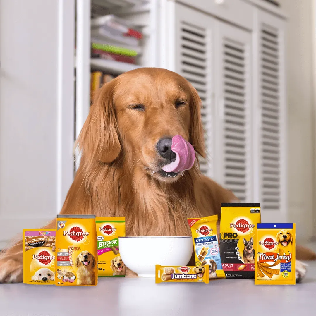 Pedigree Dog Food