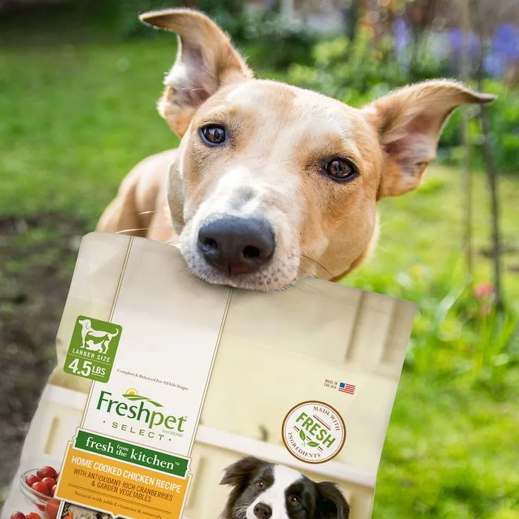 Freshpet Dog Food