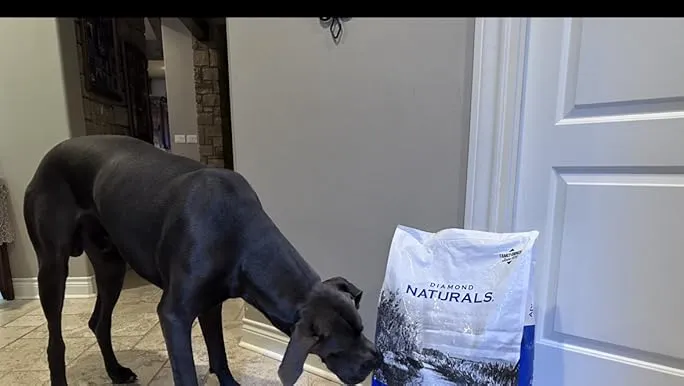 Diamond Naturals Dog Food