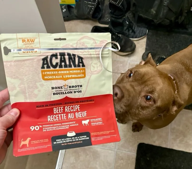 Acana Dog Food