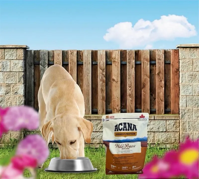 Acana Dog Food