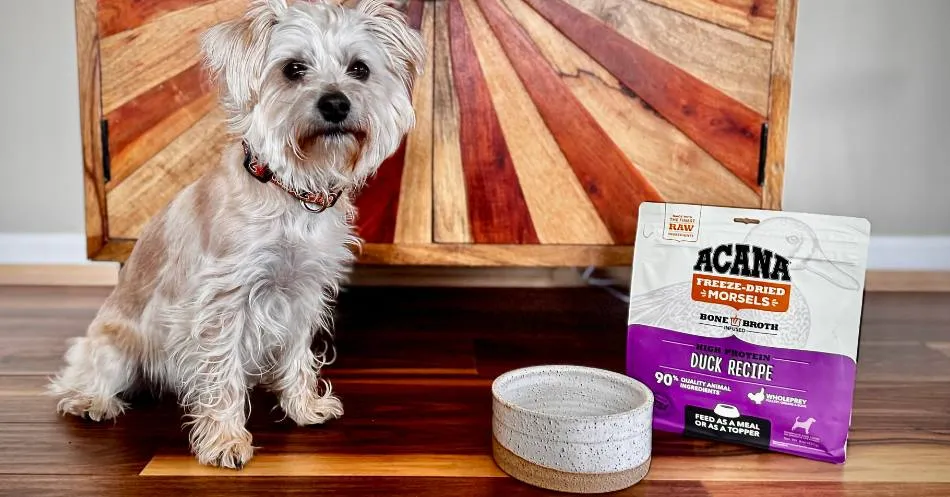 Acana Dog Food