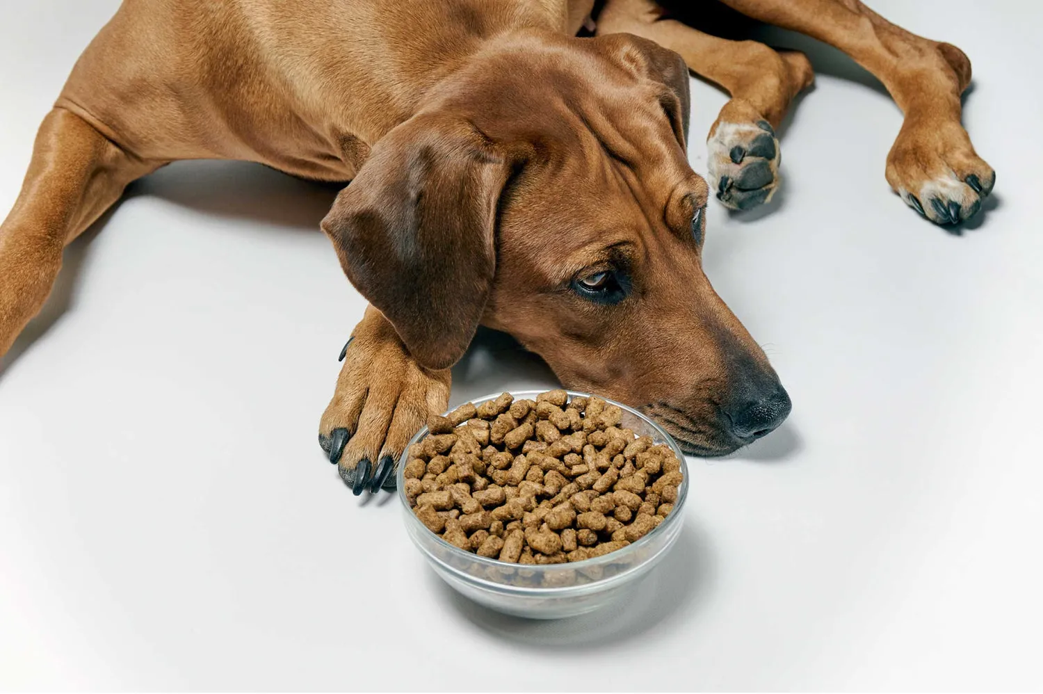 Inukshuk Dog Food
