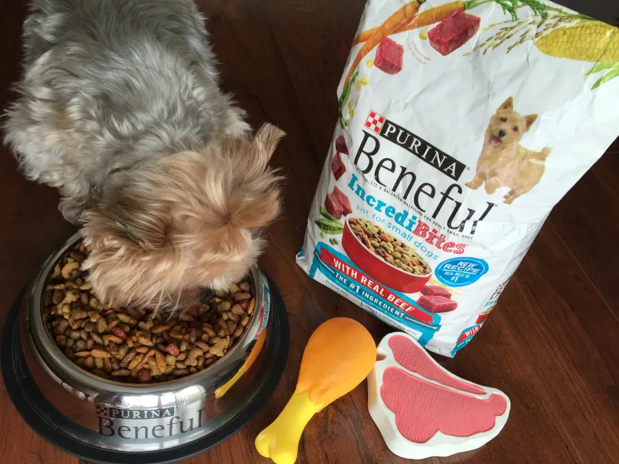 Beneful Dog Food