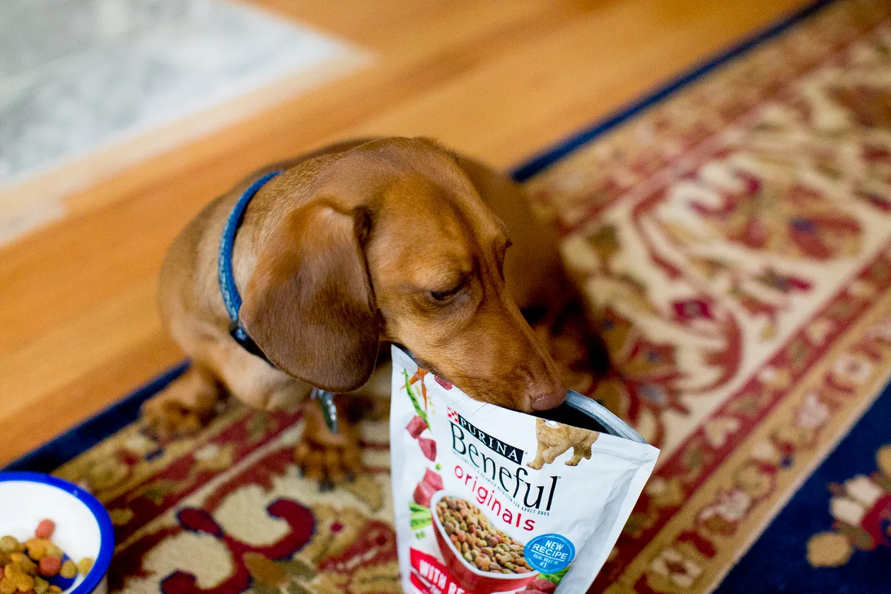 Beneful Dog Food