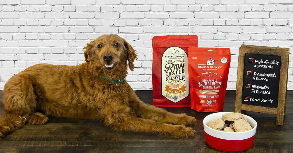 Chewy Dog Food