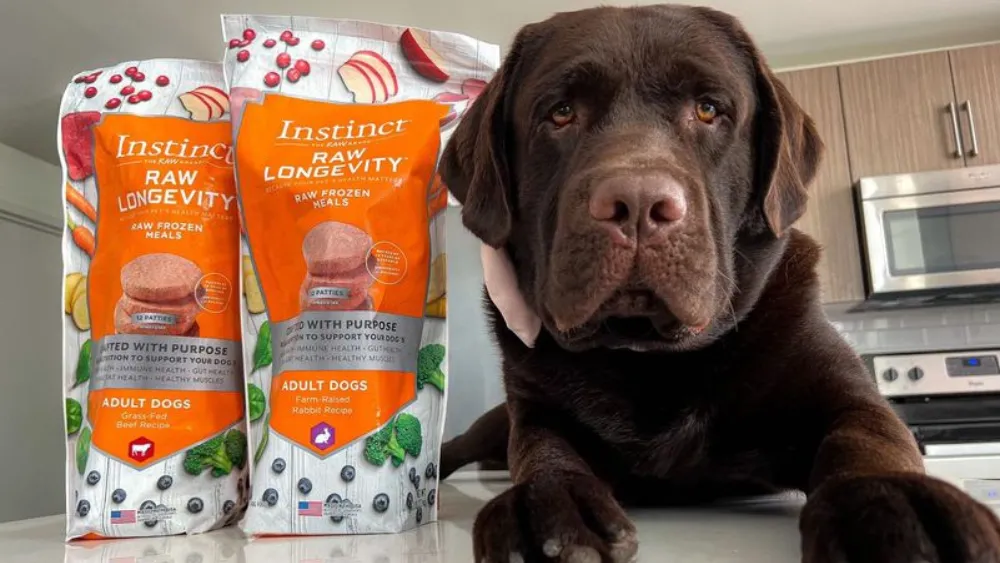 Instinct Dog Food