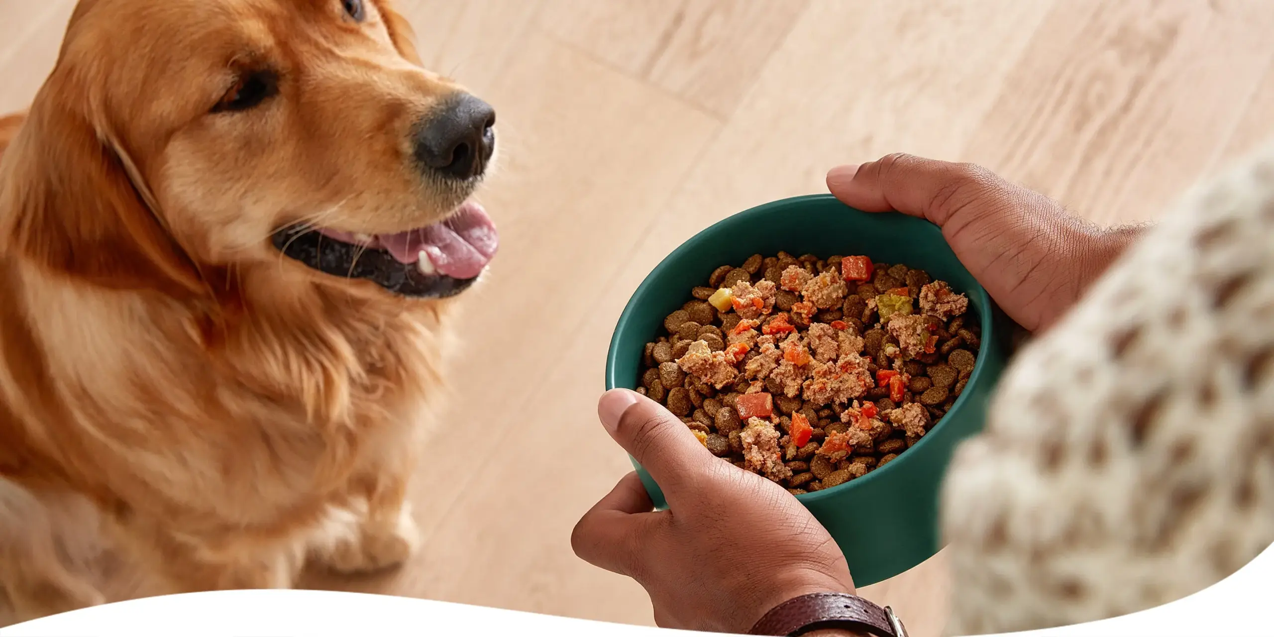 Kirkland Dog Food
