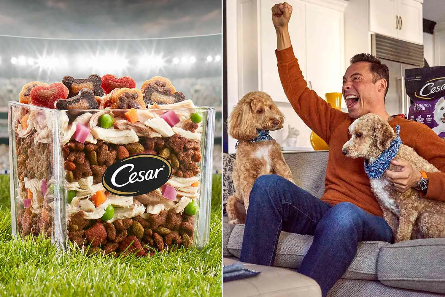 Cesar Dog Food