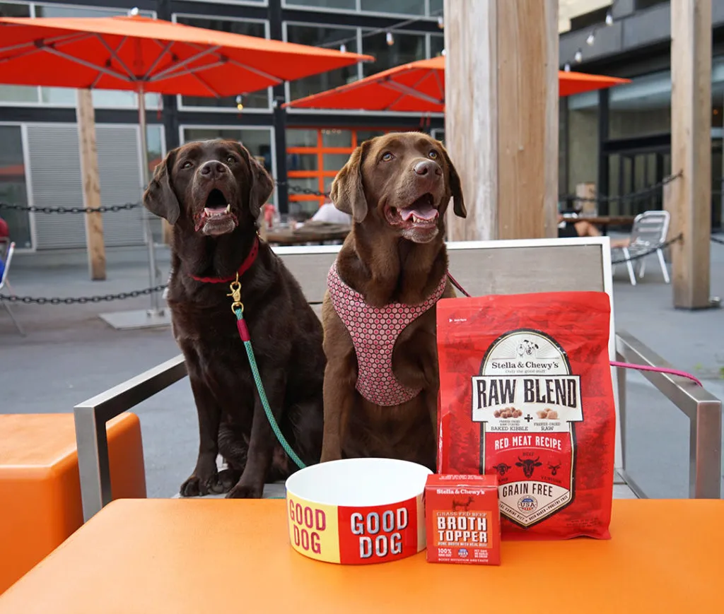 Stella and Chewy Dog Food