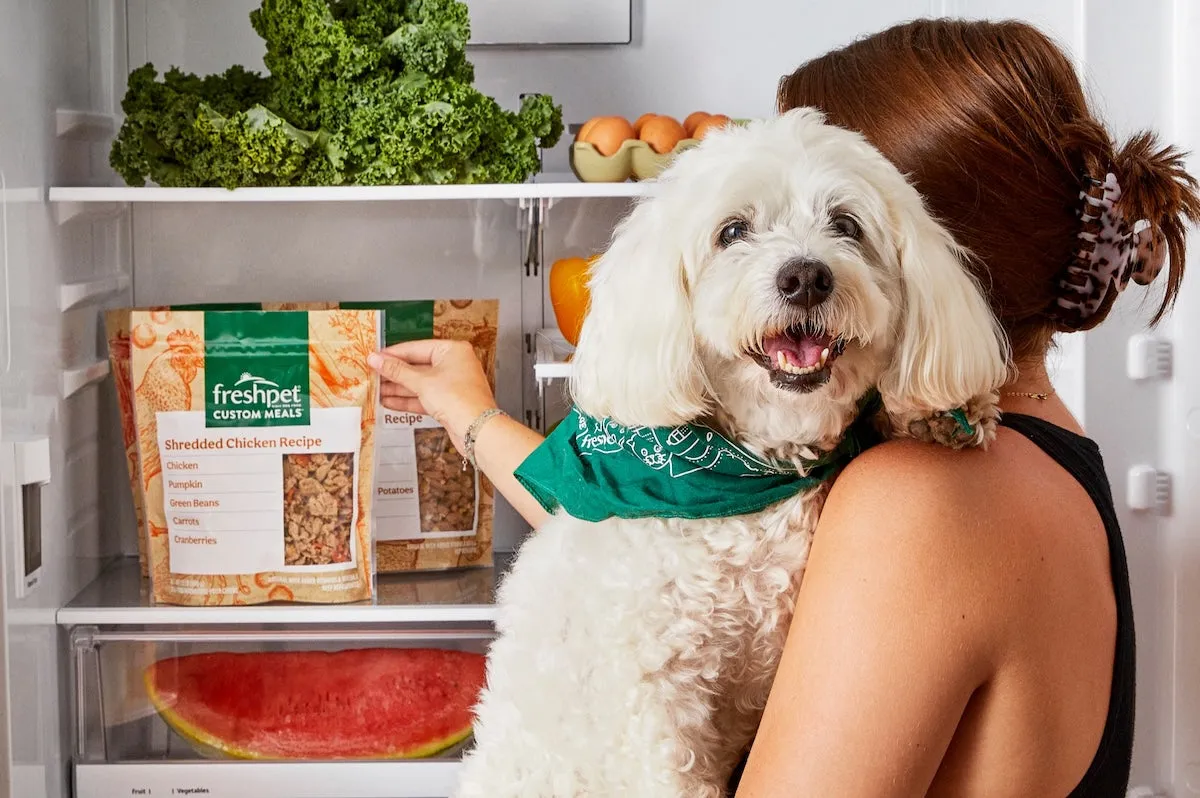 Fresh Pet Dog Food