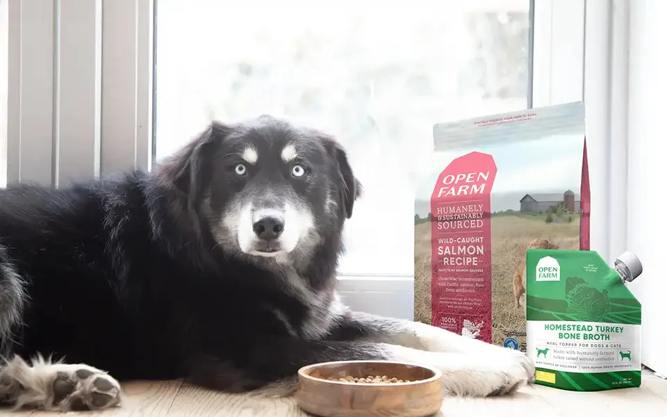 Open Farm Dog Food