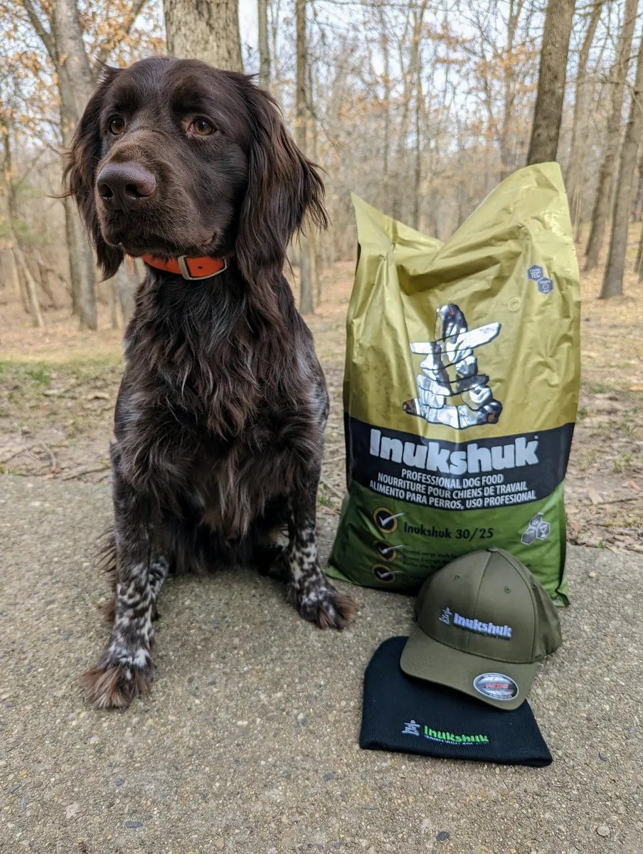 Inukshuk Dog Food