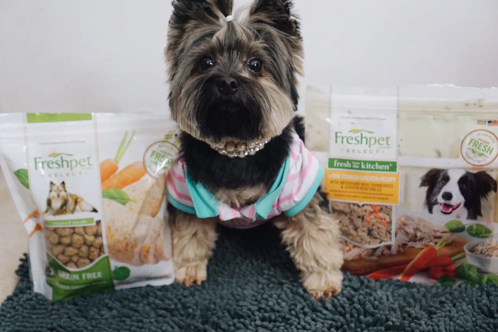 Freshpet Dog Food