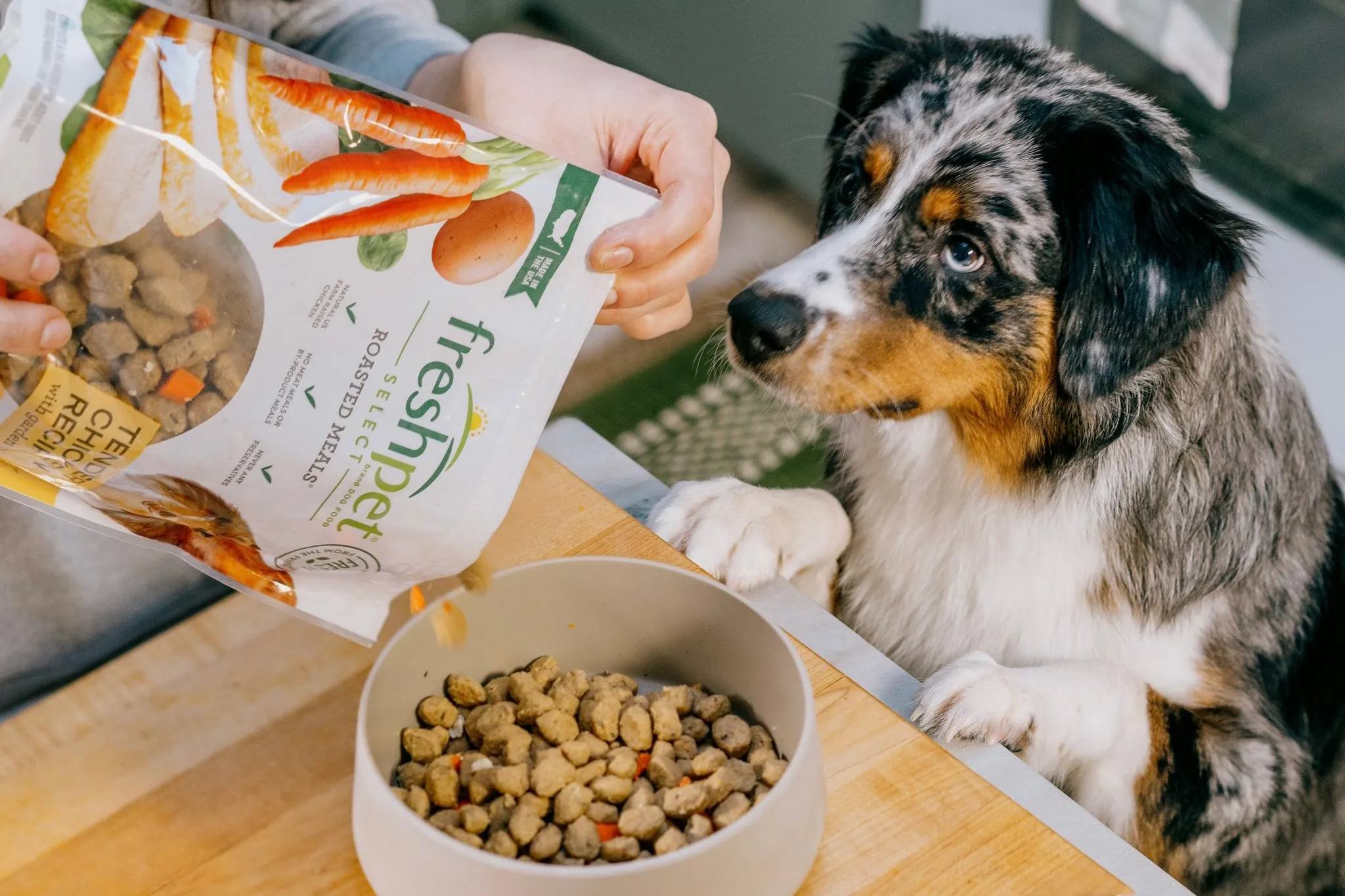 Freshpet Dog Food