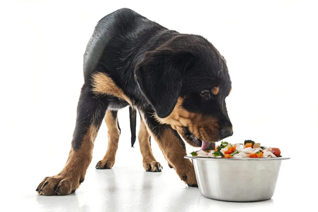 Dog Food Advisor
