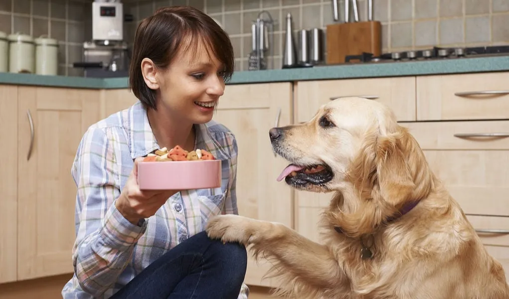 Taste of the Wild Dog Food