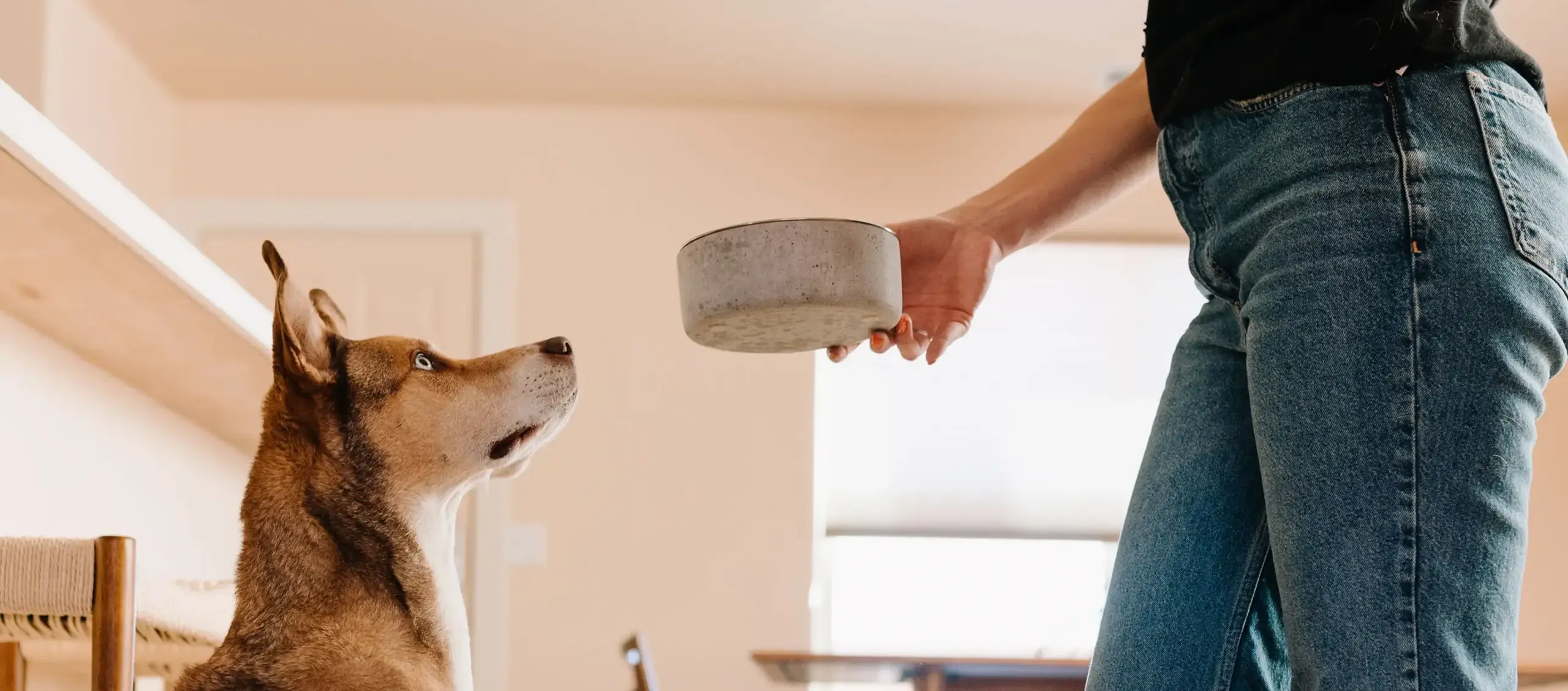 Hydrolyzed Protein Dog Food