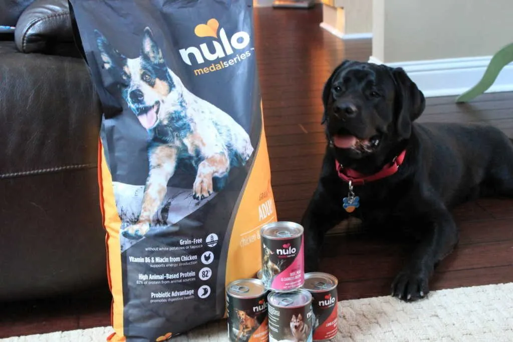 Nulo Dog Food