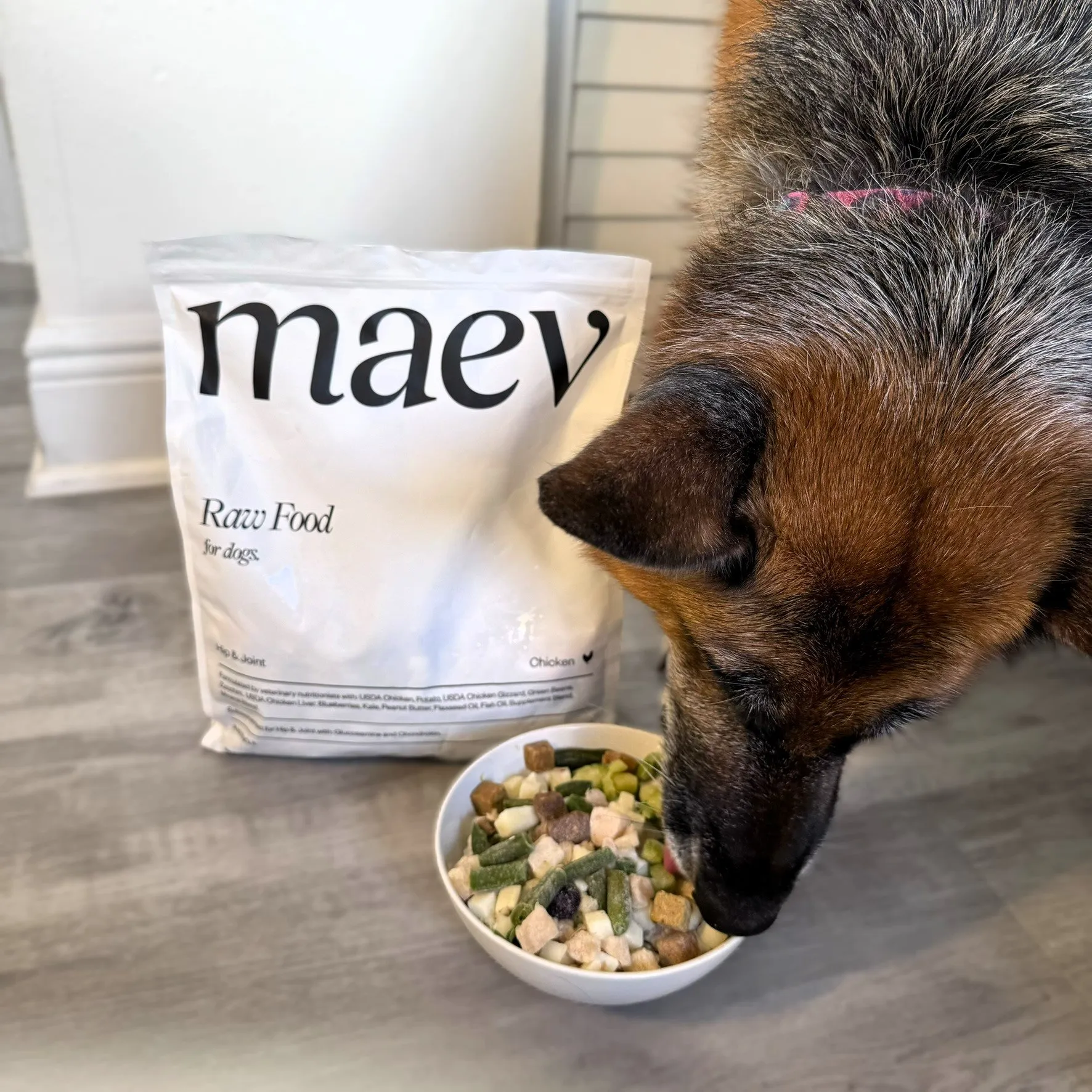 Maev Dog Food