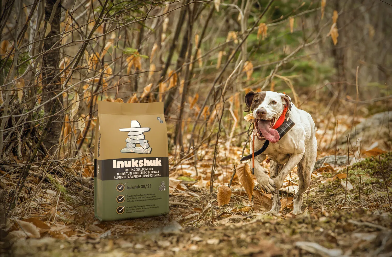Inukshuk Dog Food