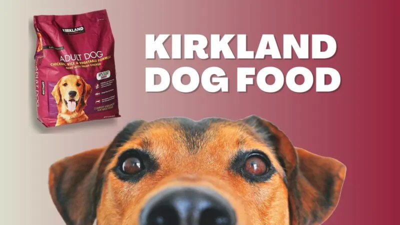 Kirkland Dog Food