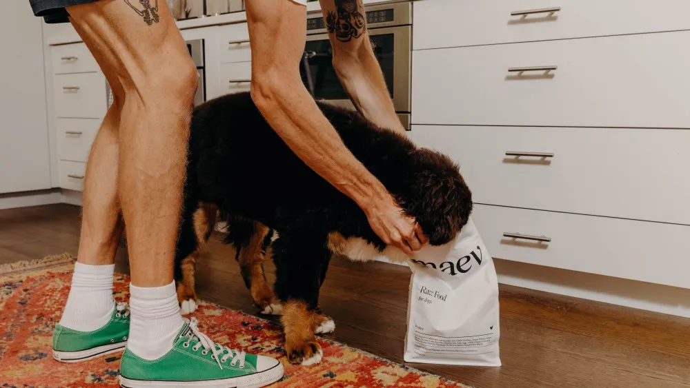Maev Dog Food