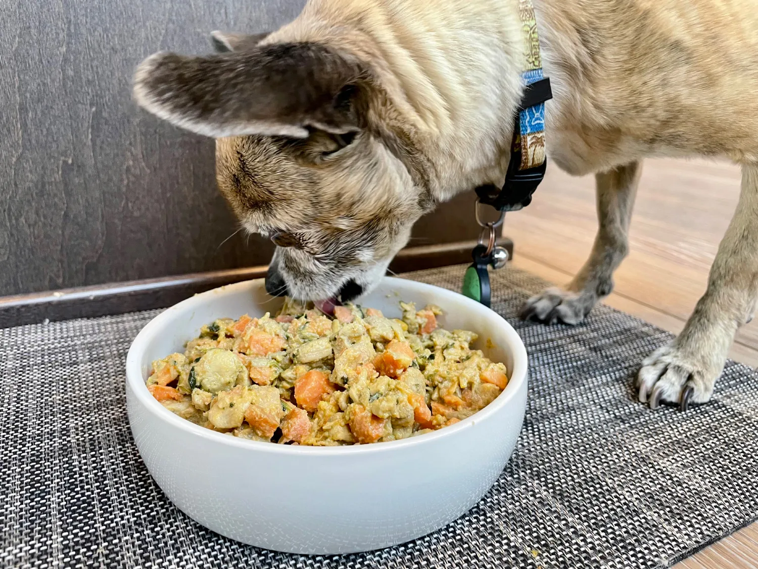 Open Farm Dog Food