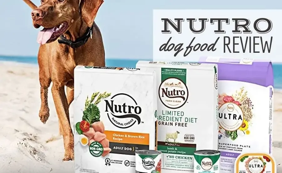Nutro Dog Food