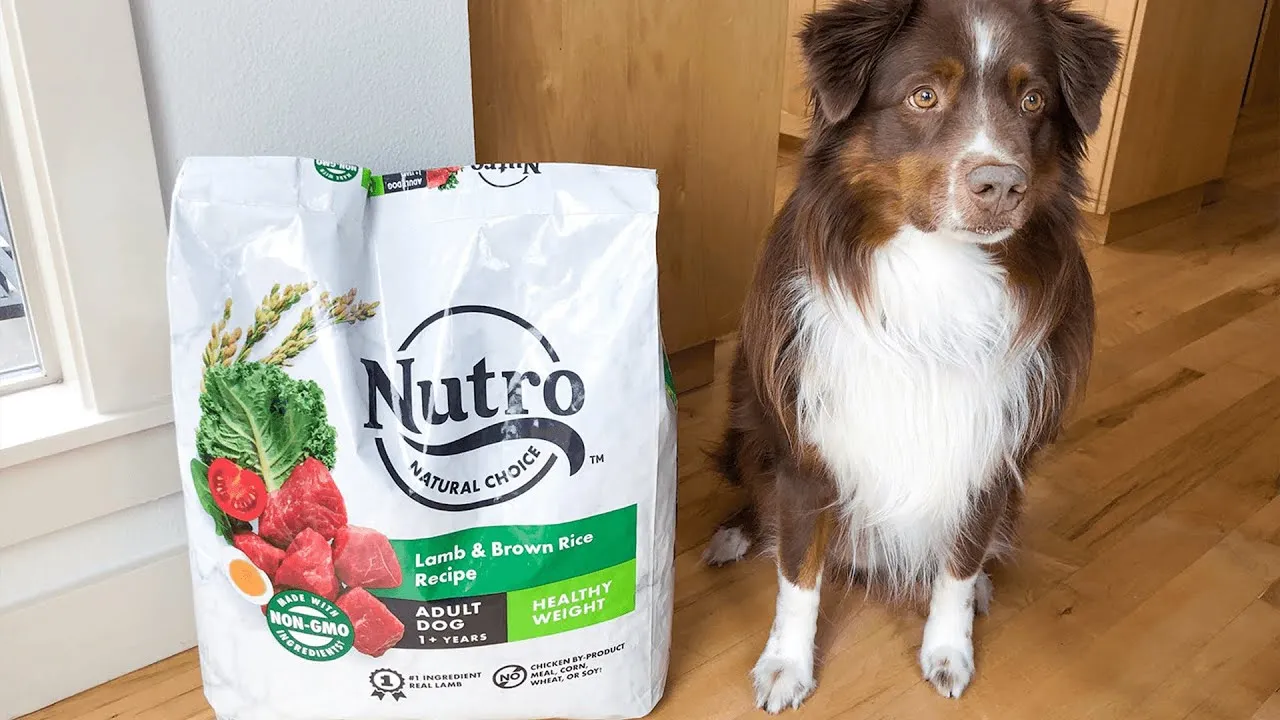 Nutro Dog Food