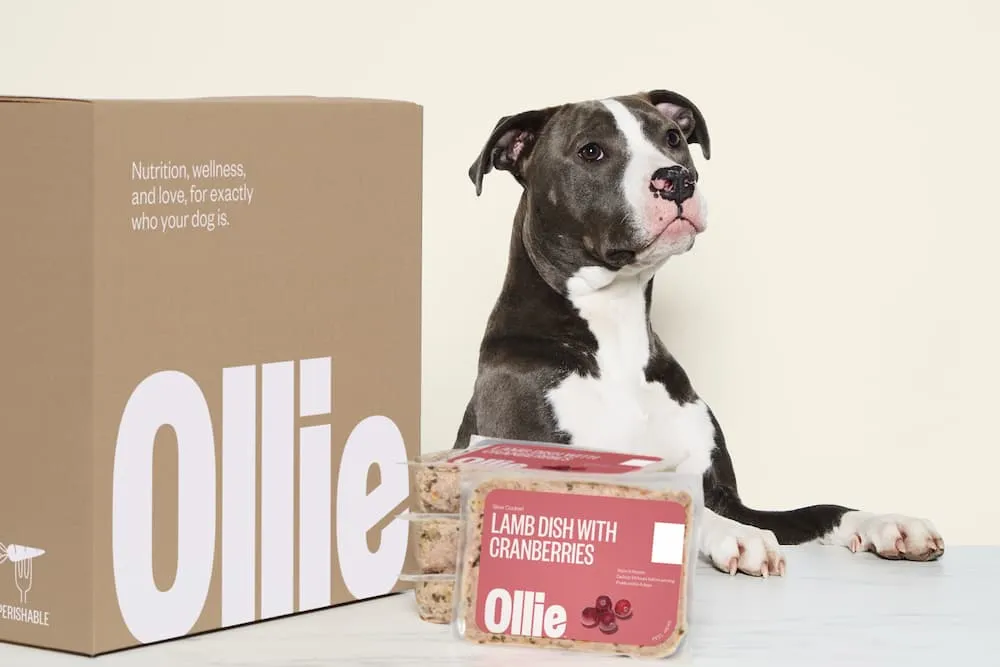 Ollie Dog Food
