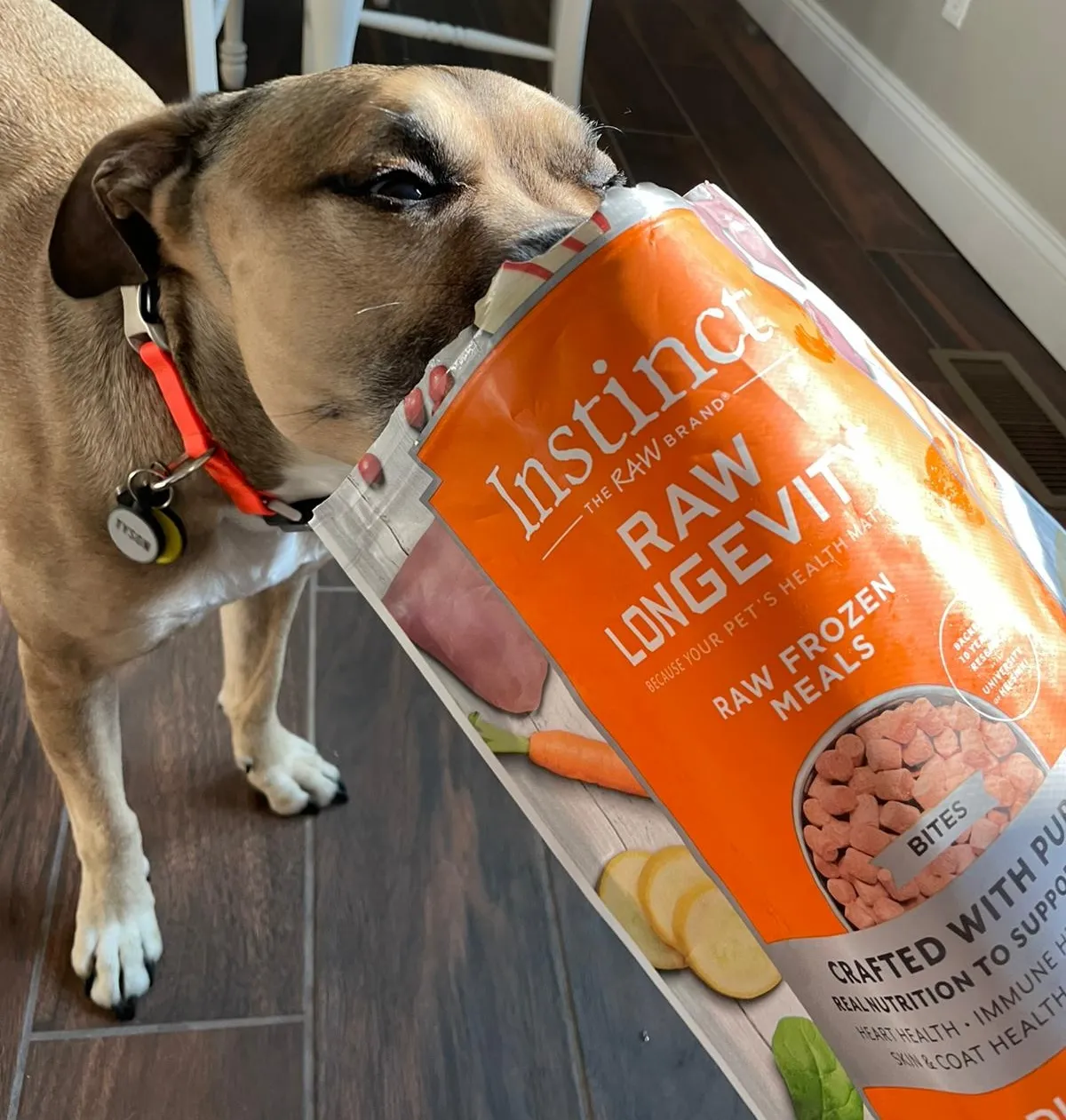 Instinct Dog Food