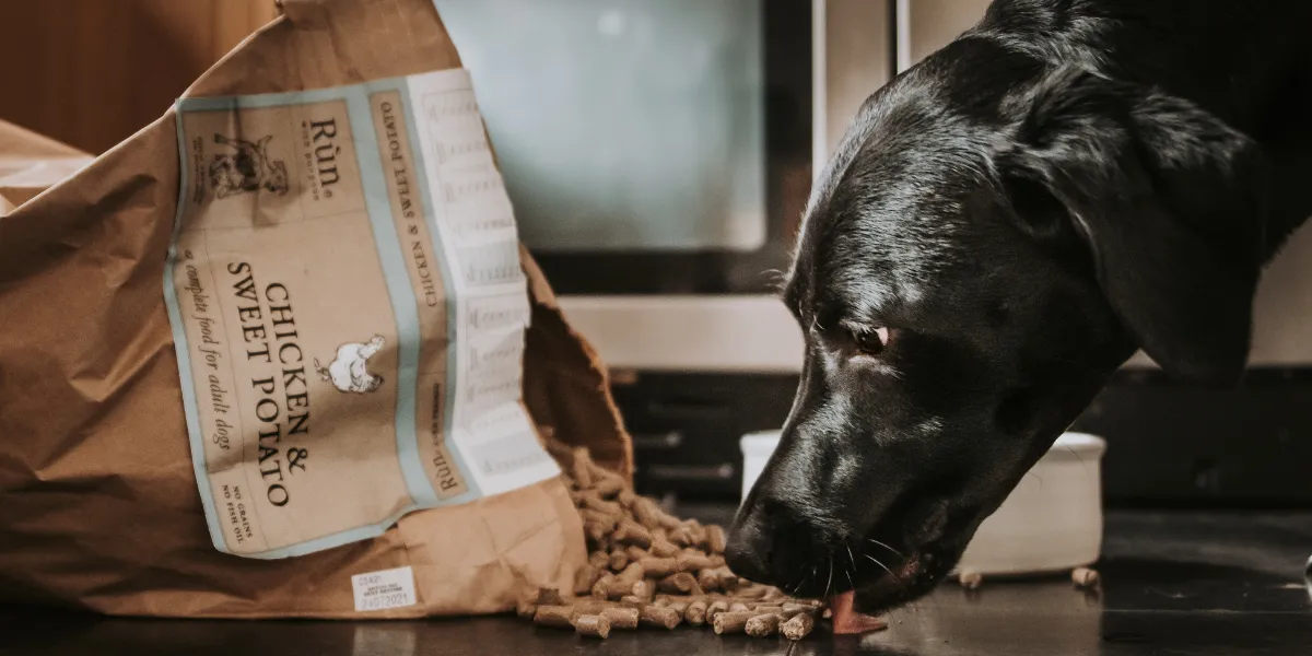 Gentle Giants Dog Food
