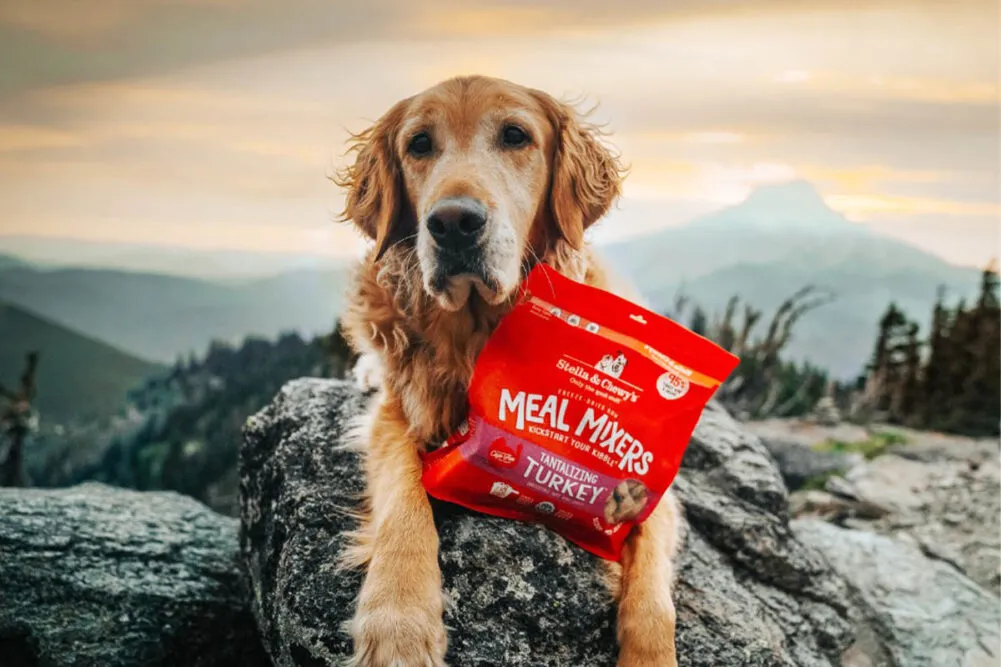 Stella and Chewy Dog Food