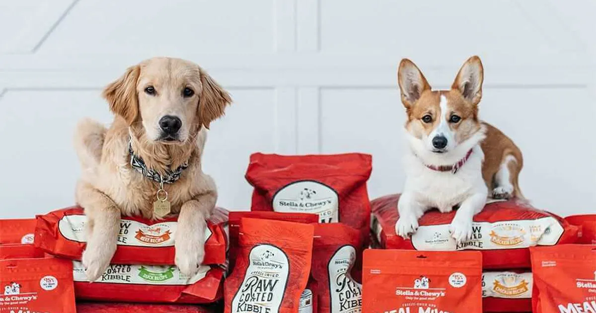 Stella and Chewy Dog Food
