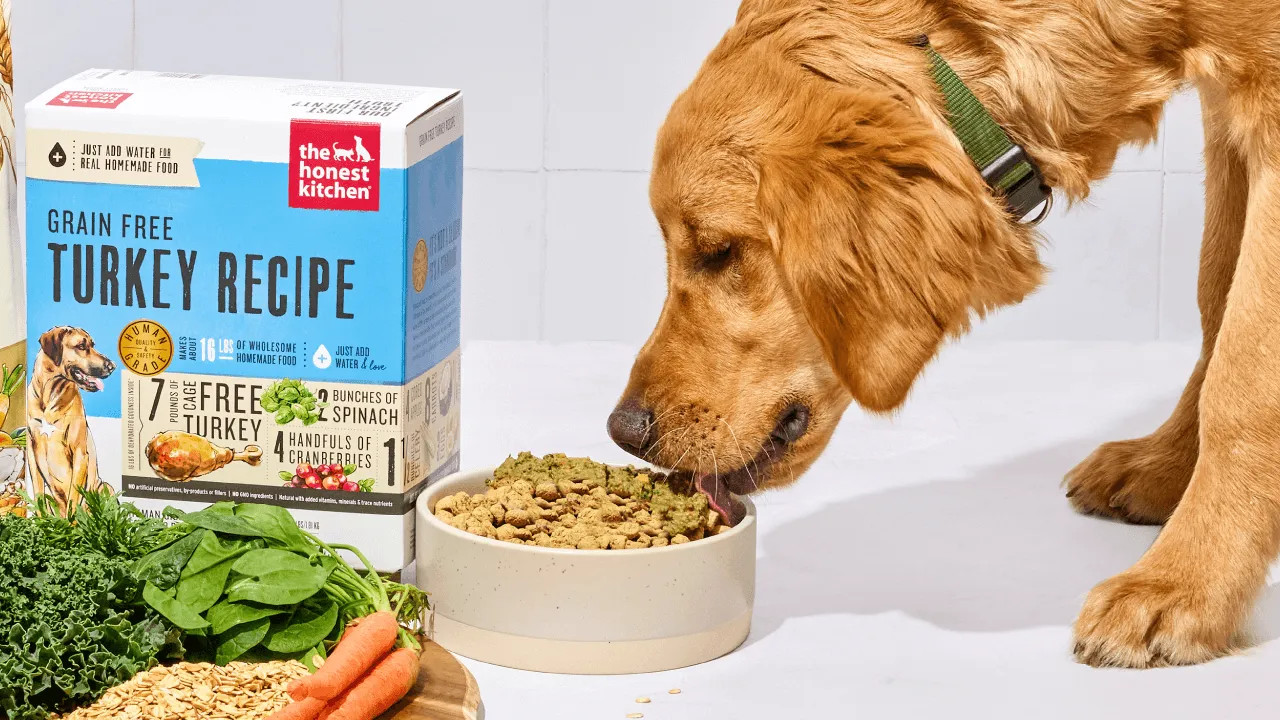 Honest Kitchen Dog Food