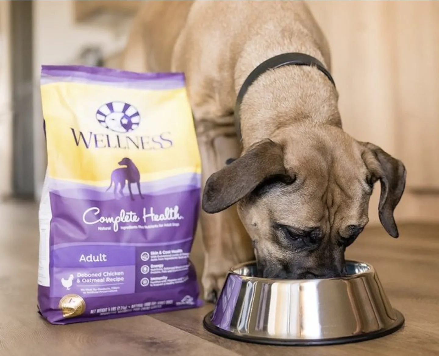 Wellness Dog Food 