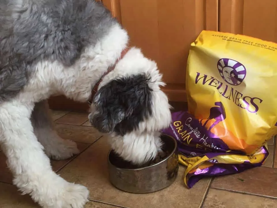 Wellness Dog Food 