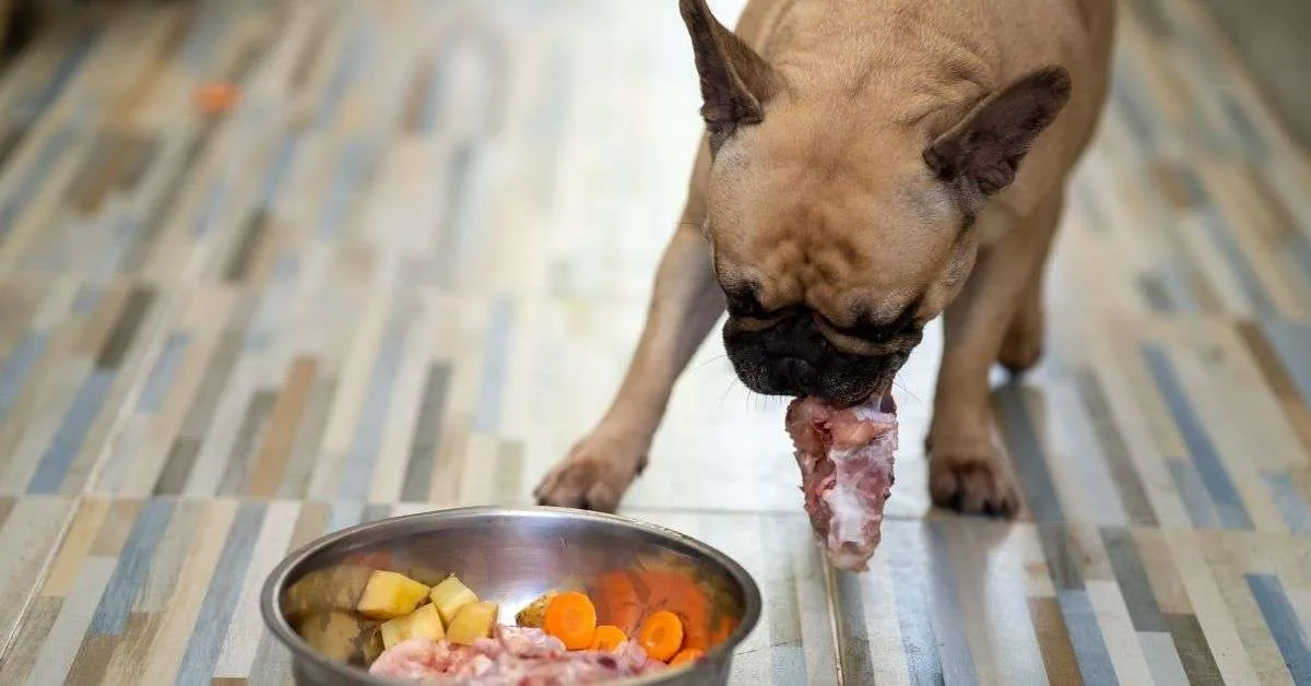 Dog Food Advisor