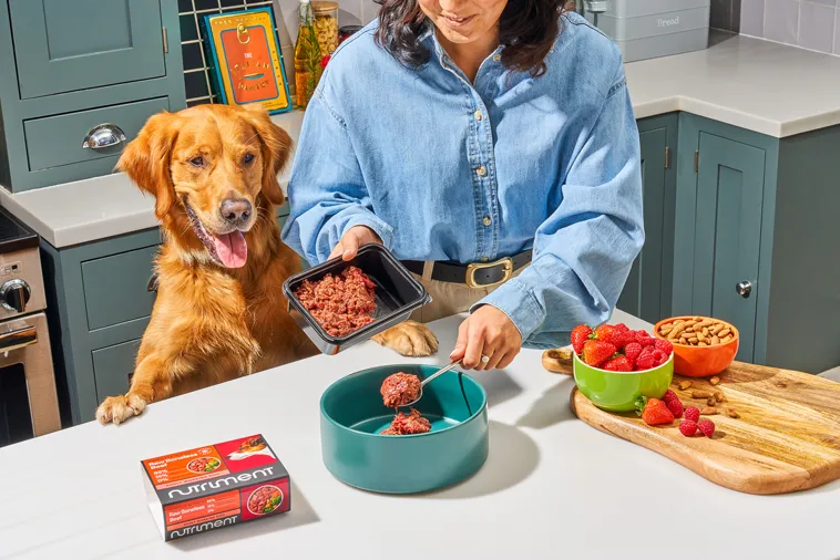 Instinct Dog Food